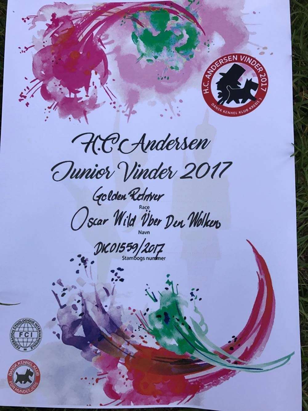 hc-andersen-junior-vinder-2017-diplom_3438